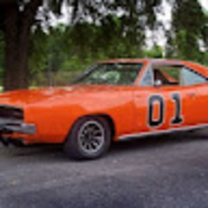 Meet your Posher, Bailley